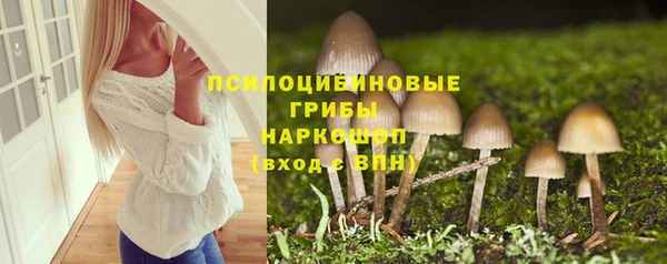 мескалин Алексин