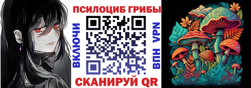 Галлюциногенные грибы ЛСД  цена наркотик  Змеиногорск 